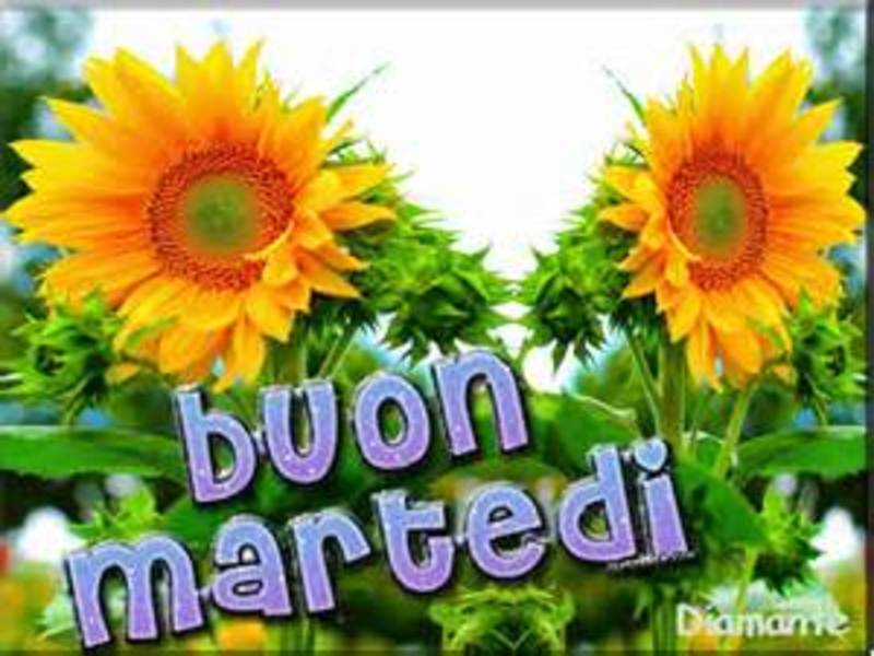 Belle immagini per Buongiorno da scaricare gratis 1565