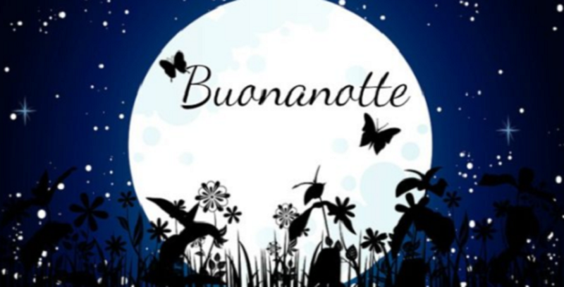 Bellissime immagini buonanotte 2235