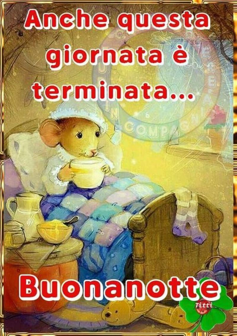 Bellissime immagini buonanotte 2333