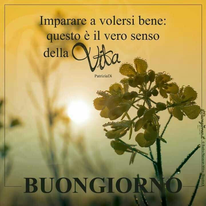 Bellissime immagini frasi col Buongiorno da condividere