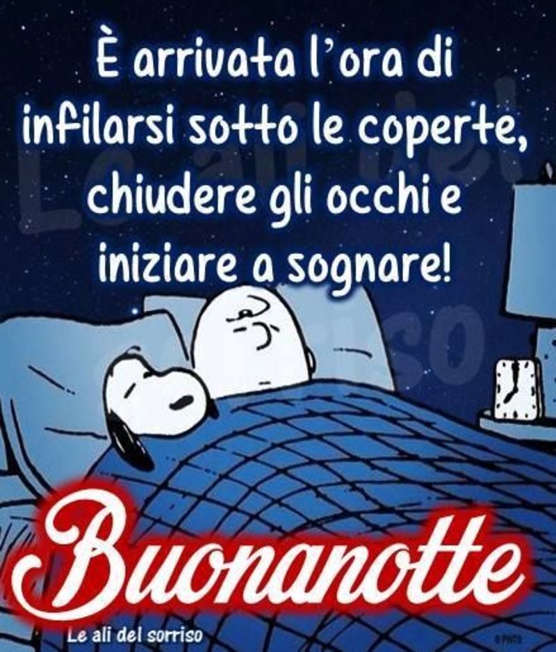 Bellissimi pensieri per augurare Buonanotte 8733