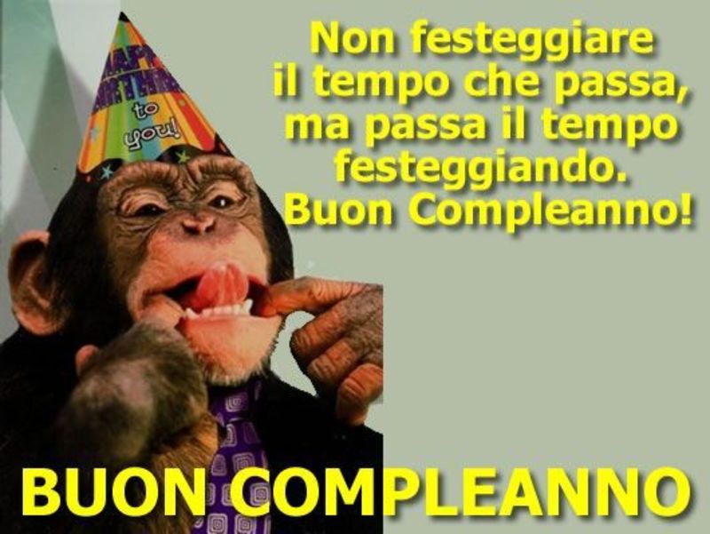 Buon Compleanno con simpatica scimmia