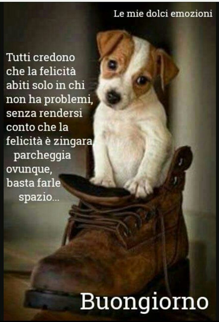 Buongiorno con tenero cane la felicità immagini gratis da inviare