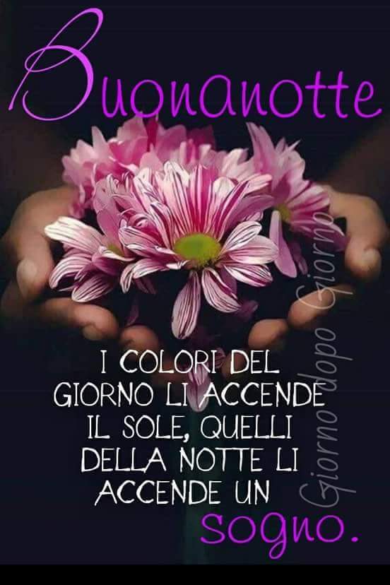 Frasi Buonanotte bellissime