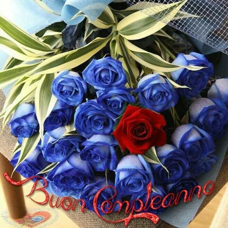 Frasi Di Auguri Per Buon Compleanno Con I Fiori 9 Bellissimeimmagini It