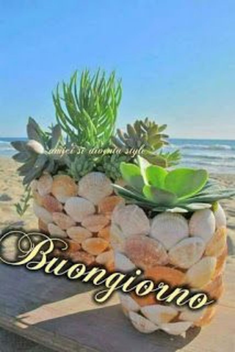 Frasi e Pensieri del Buongiorno per gruppi 8933