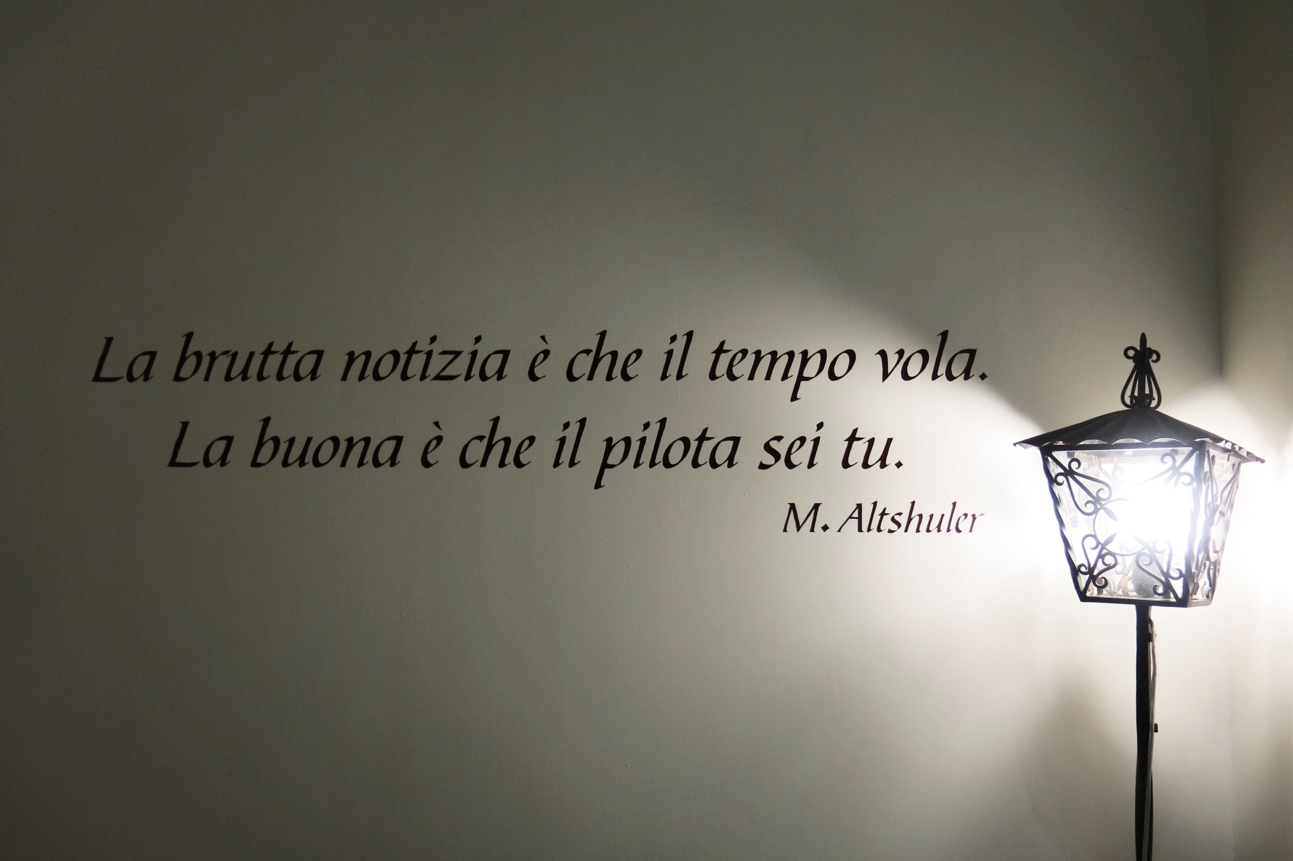 Il tempo vola frase di Michael Altshuler da condividere