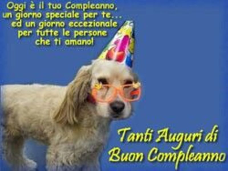 Immagini Auguri Compleanno con cagnolini (5)