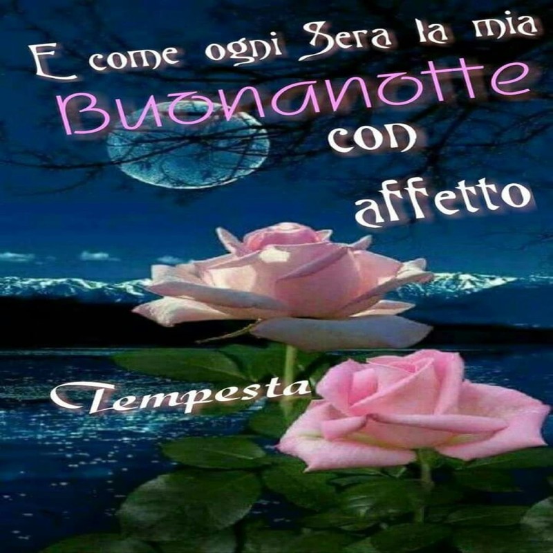 Immagini Buonanotte per tutti gratis 6637