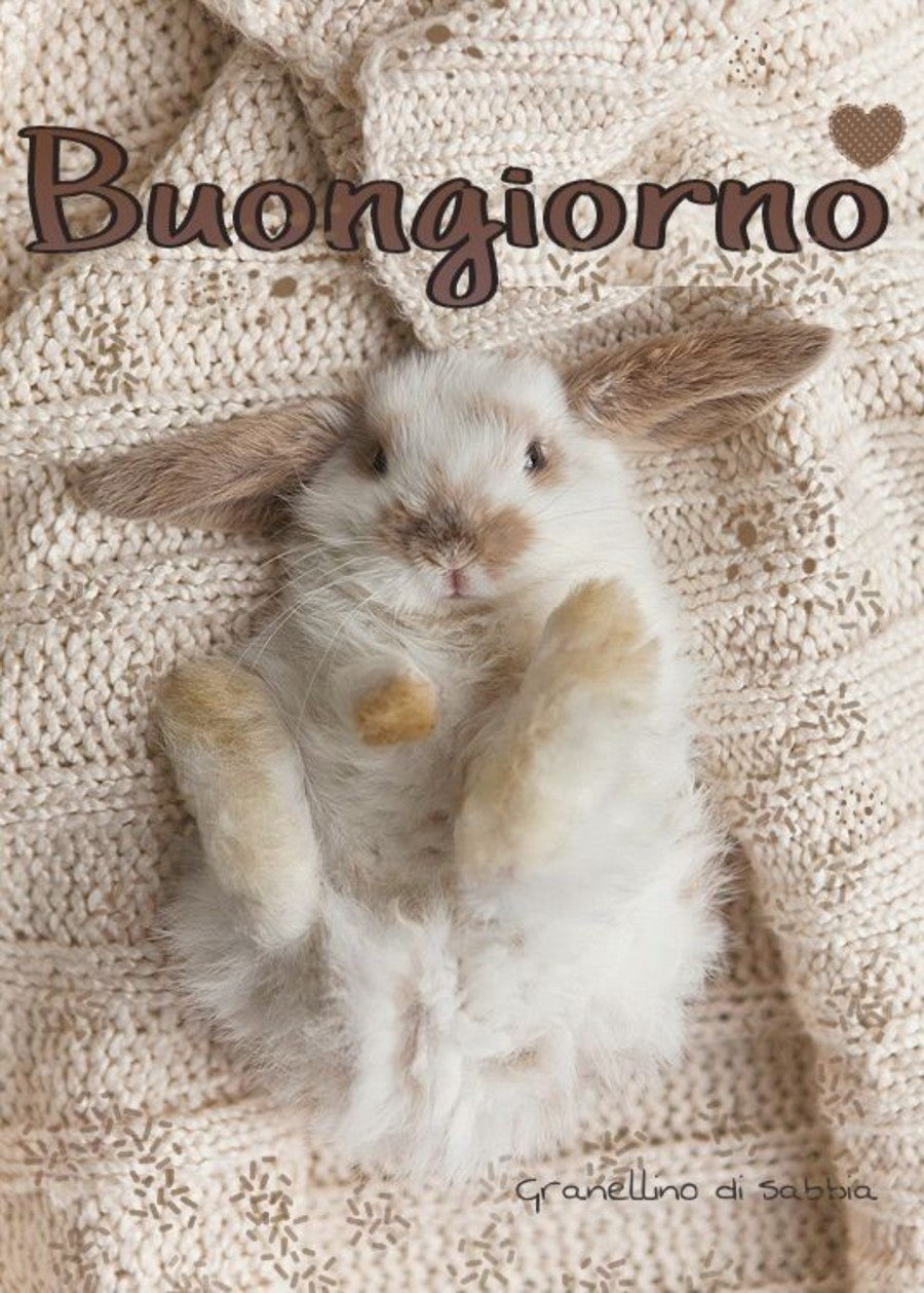Immagini Buongiorno con i cuccioli 6925