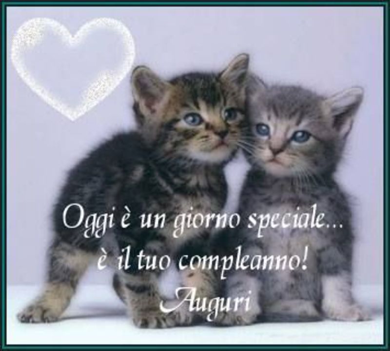 Immagini belle Buon Compleanno coi i gattini (1)