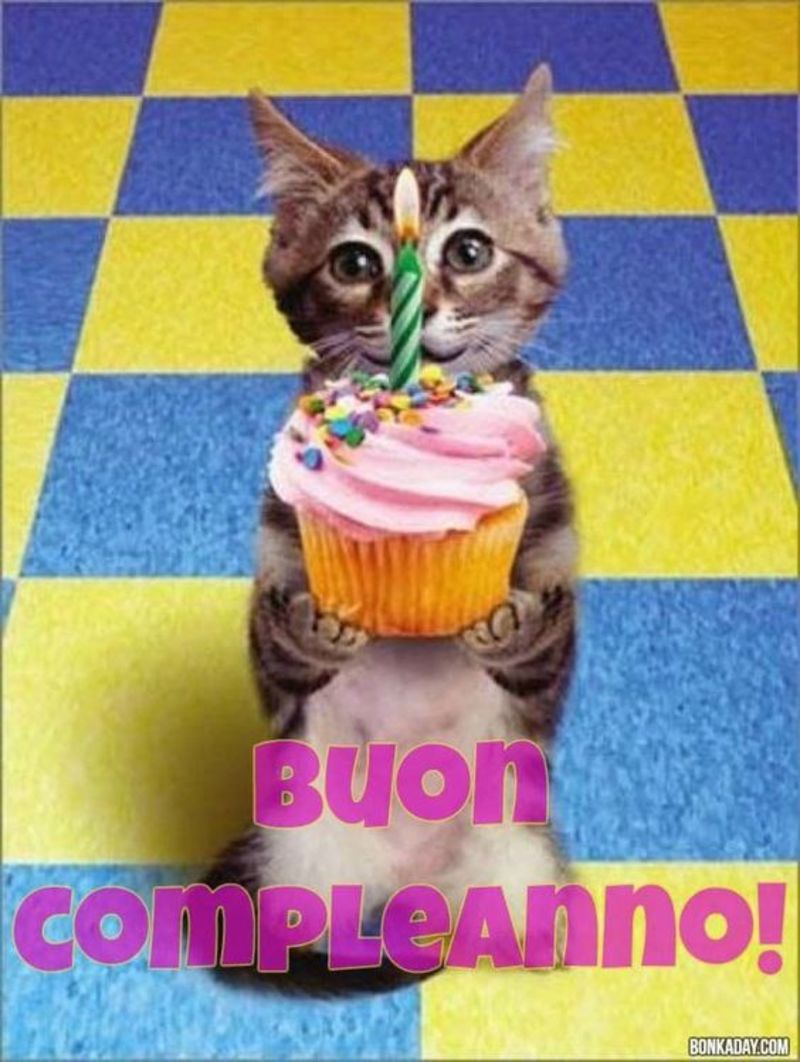 Immagini belle Buon Compleanno coi i gattini (2)