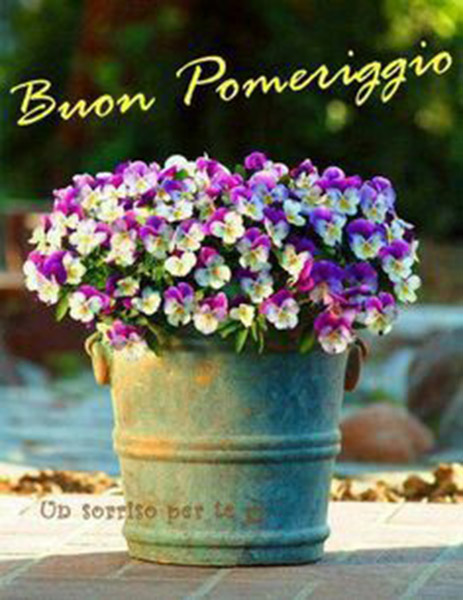Immagini belle per Buon Pomeriggio