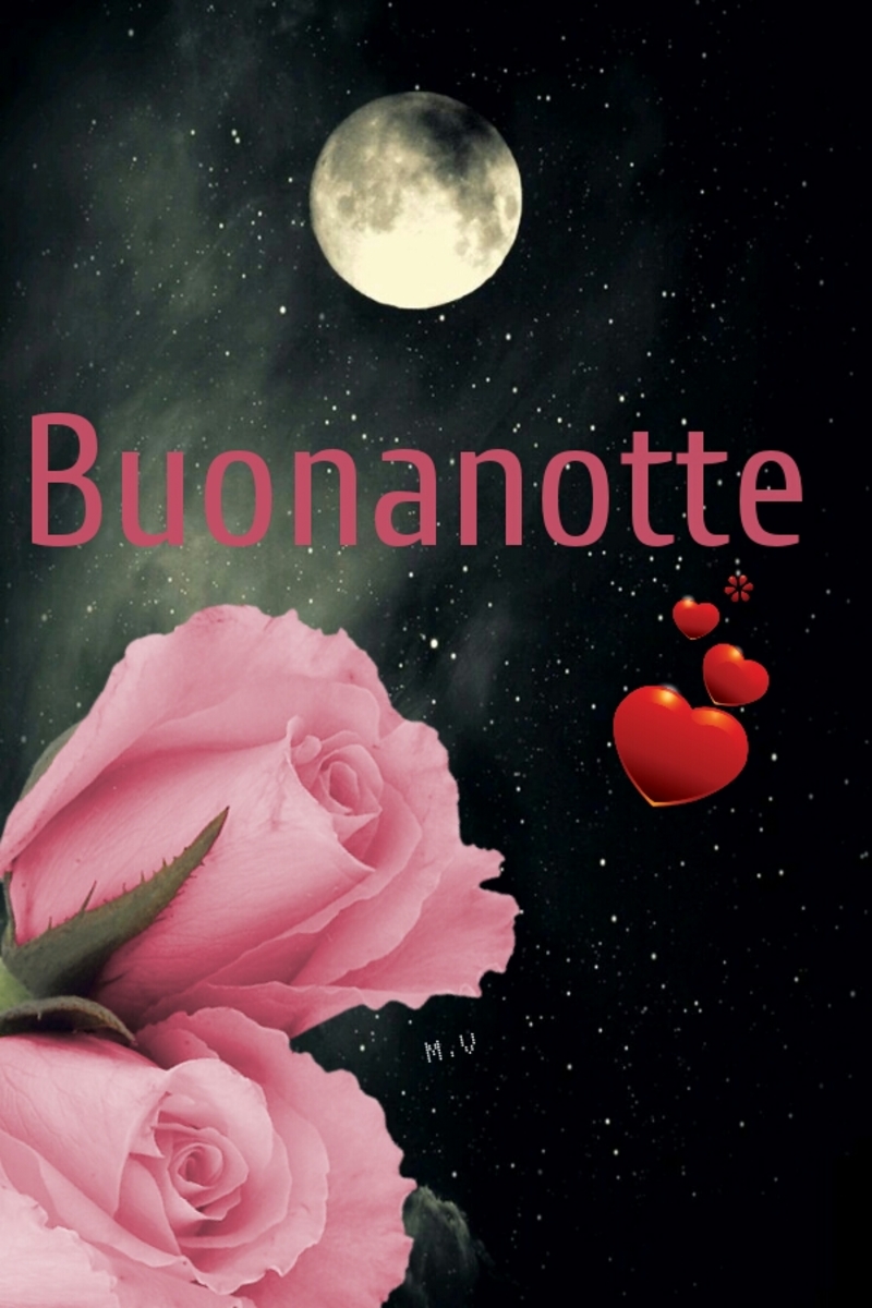 Immagini bellissime di buonanotte 565