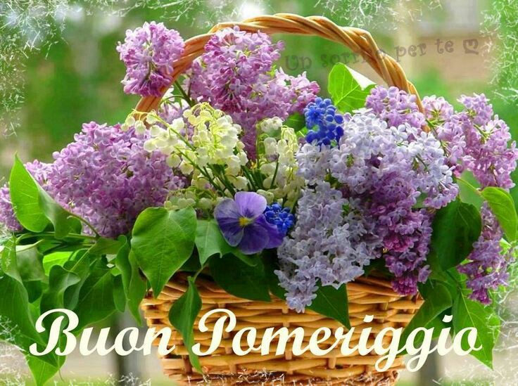 Immagini buon pomeriggio con fiori belli