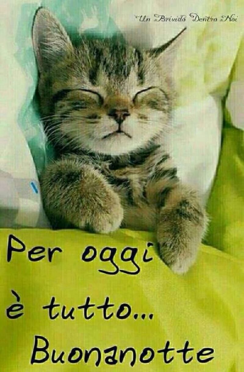 Immagini buonanotte con teneri animali 5163