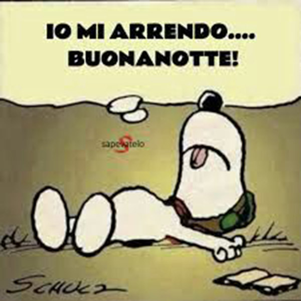 Immagini con Snoopy io mi arrendo buonanotte