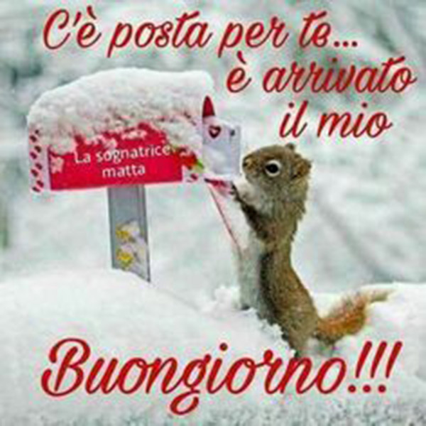 Immagini da condividere c