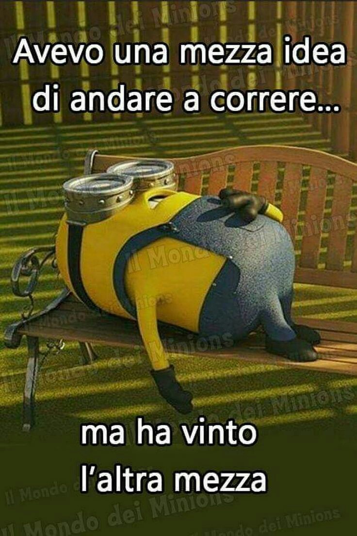 FREDDURE... - Pagina 3 Immagini-divertenti-con-i-Minions-avevo-una-mezza-idea