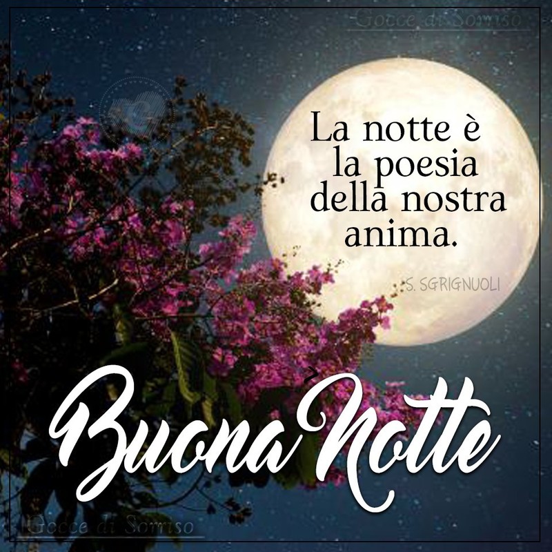 Immagini romantiche Buonanotte 7044