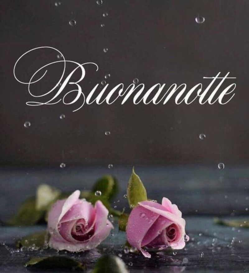 Immagini simpatiche per Buonanotte 6374