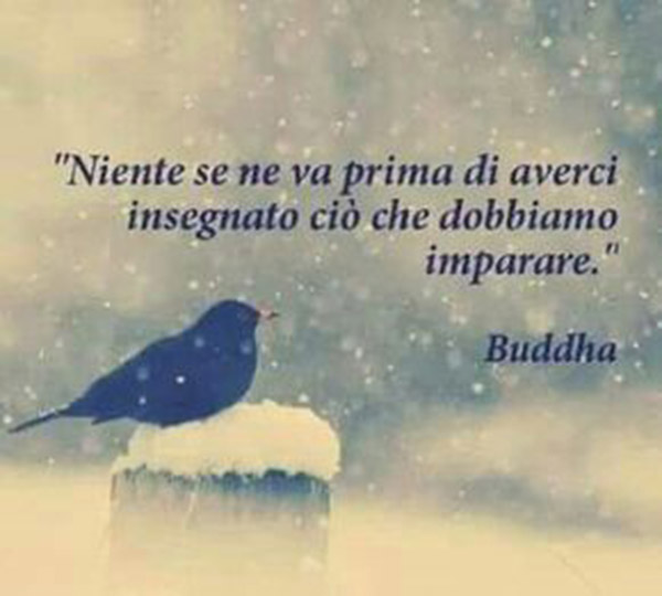 Le più belle frasi di Budda niente se ne va