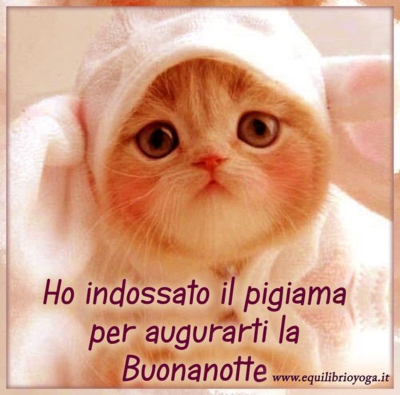 Pensieri e frasi immagini buonanotte 4068