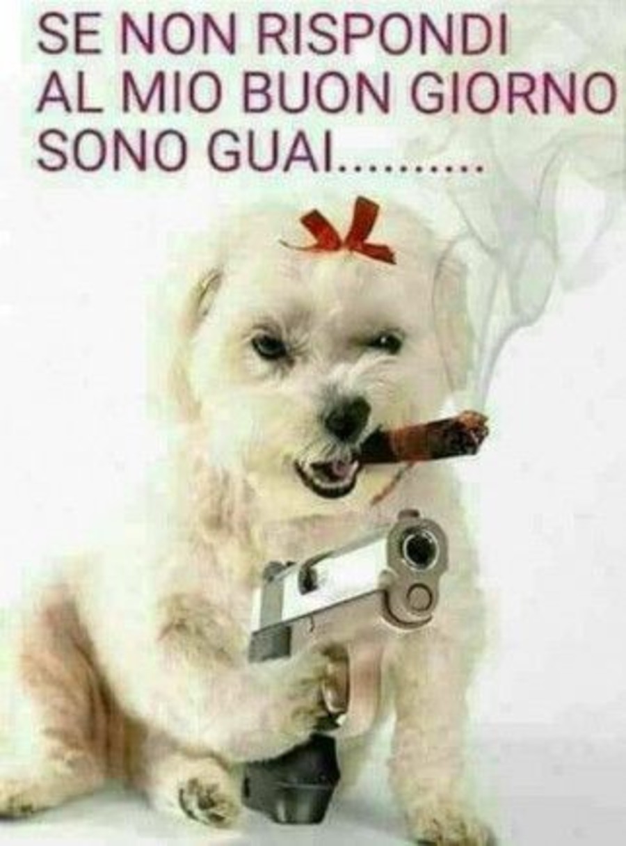 Scarica e Condividi pensieri per il Buongiorno 8517