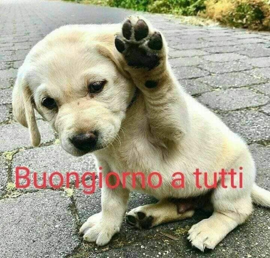 Scarica immagini Buongiorno nuove 2019 4253