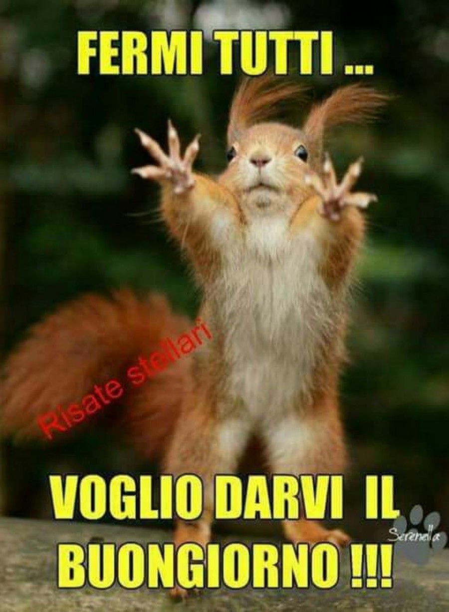 Scarica vignette Buongiorno gratis 790