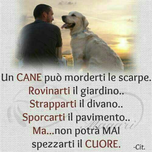 Una cane non potrà mai spezzarti il cuore immagini da condividere