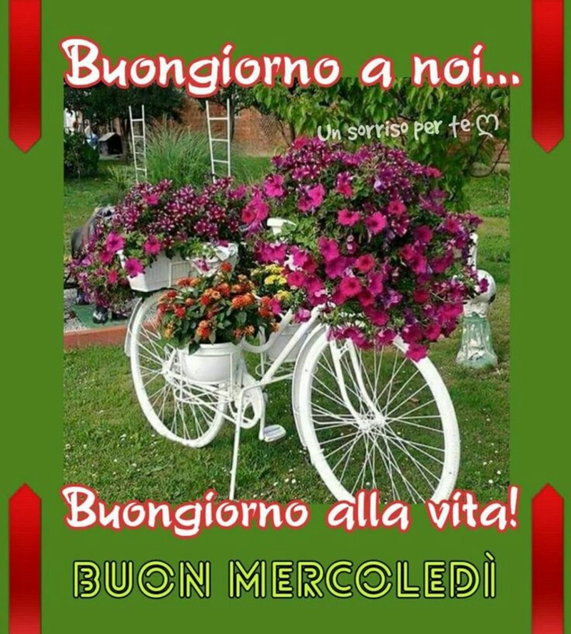 Bellissime Immagini Buon Mercoledì (9)