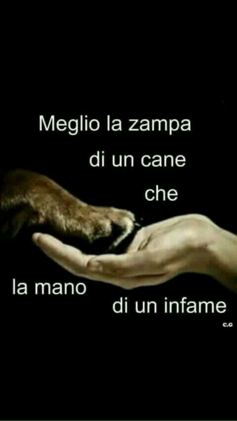 Bellissime citazioni immagini sull'amore per i cani