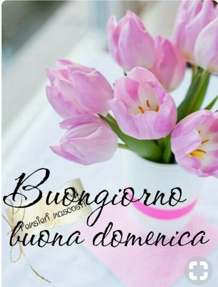 Bellissime immagini Buona Domenica 7185