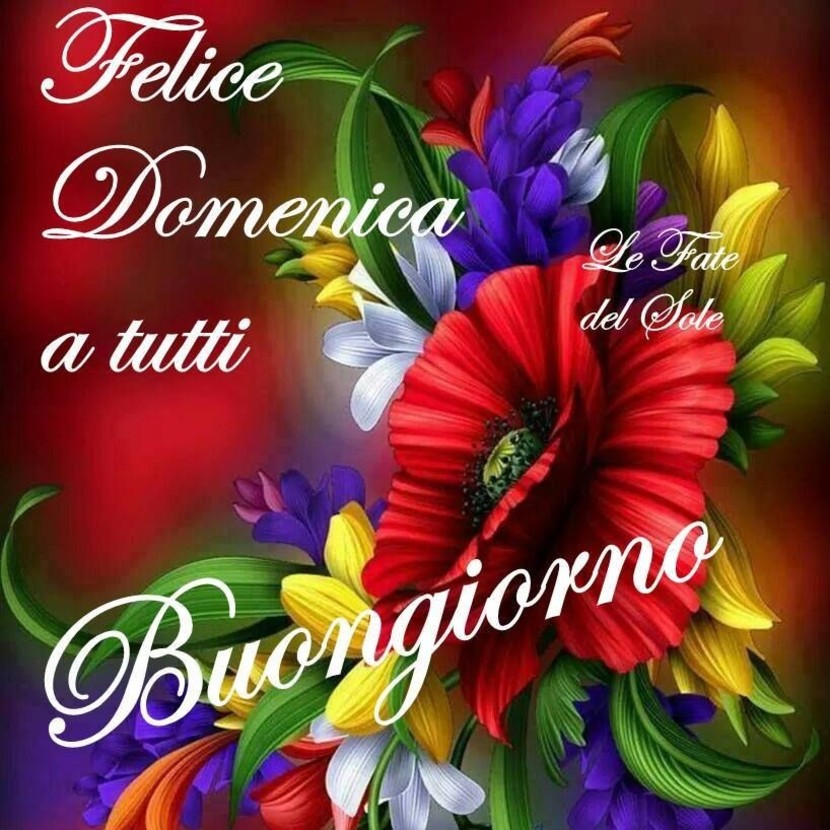 Bellissime immagini Buona Domenica 7611