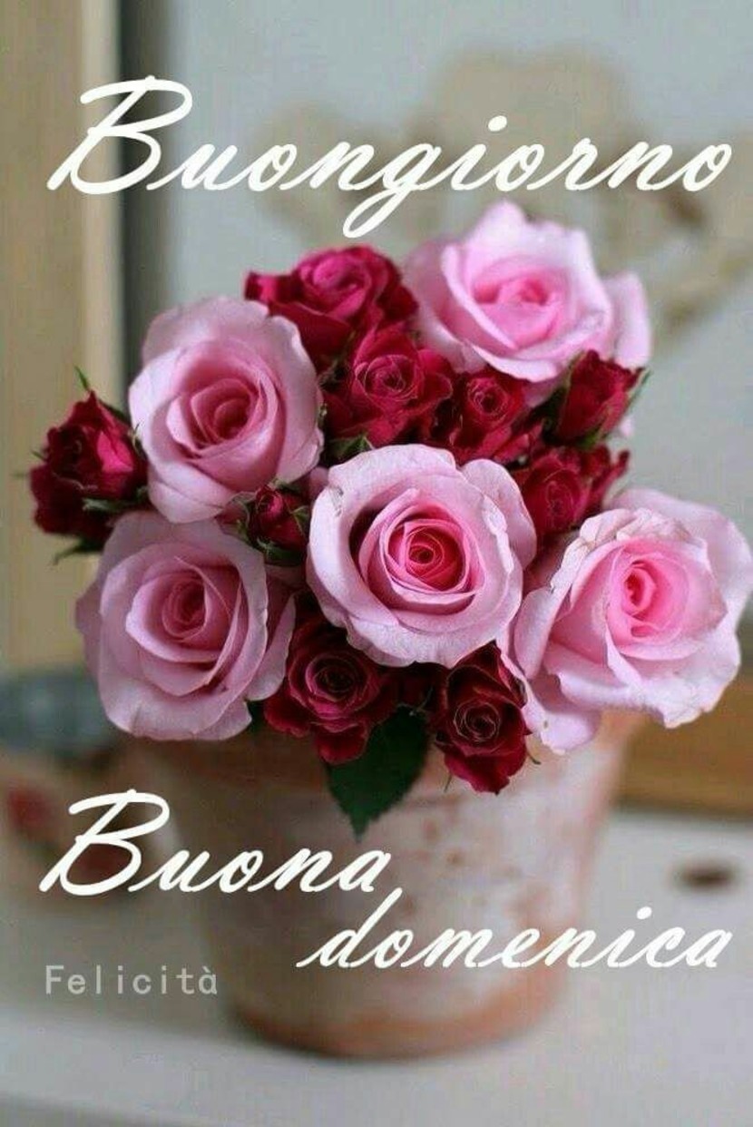 Bellissime immagini Buona Domenica 7931