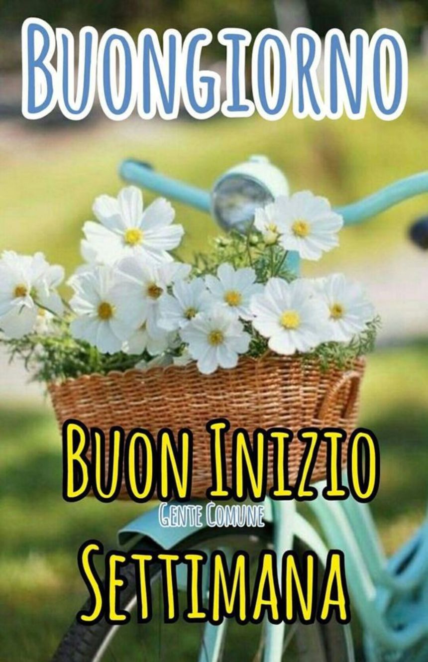 Buon Lunedì 1273