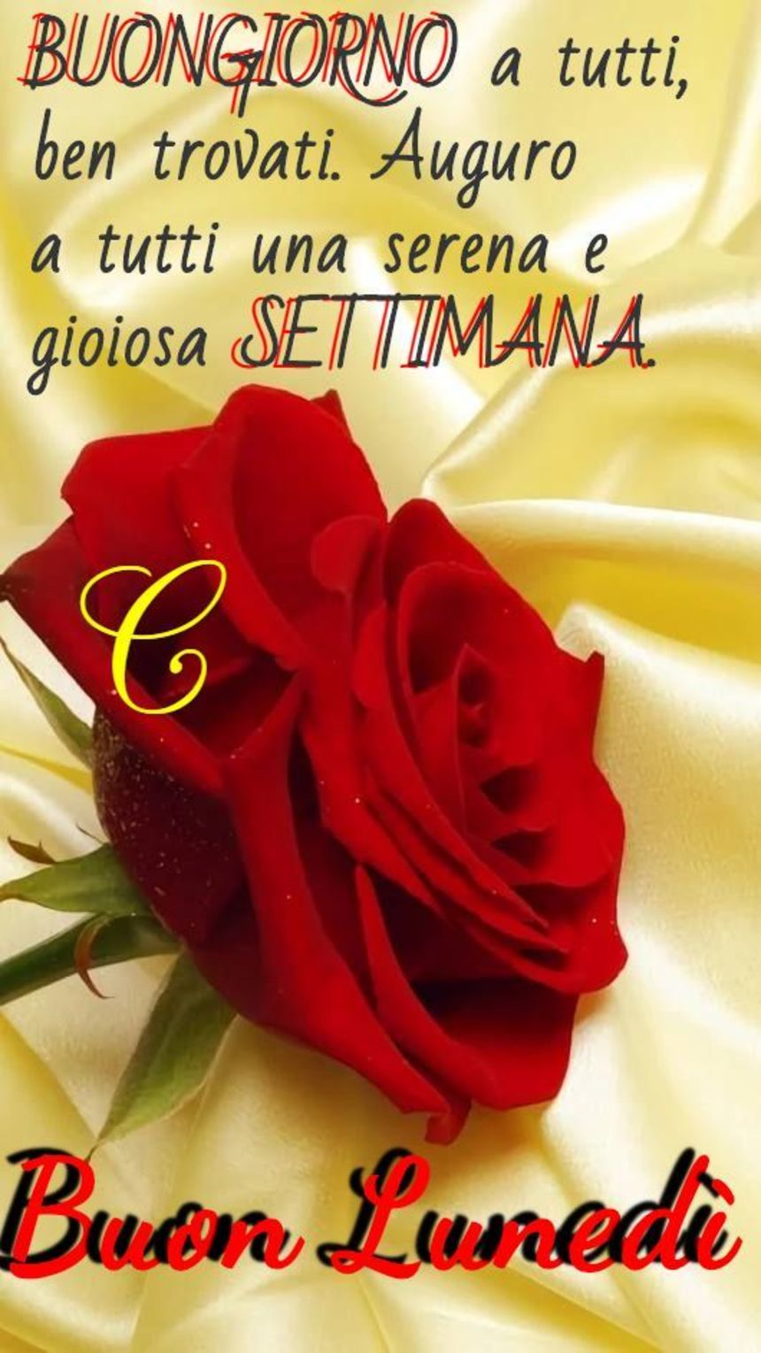 Buon Lunedì WhatsApp 3364