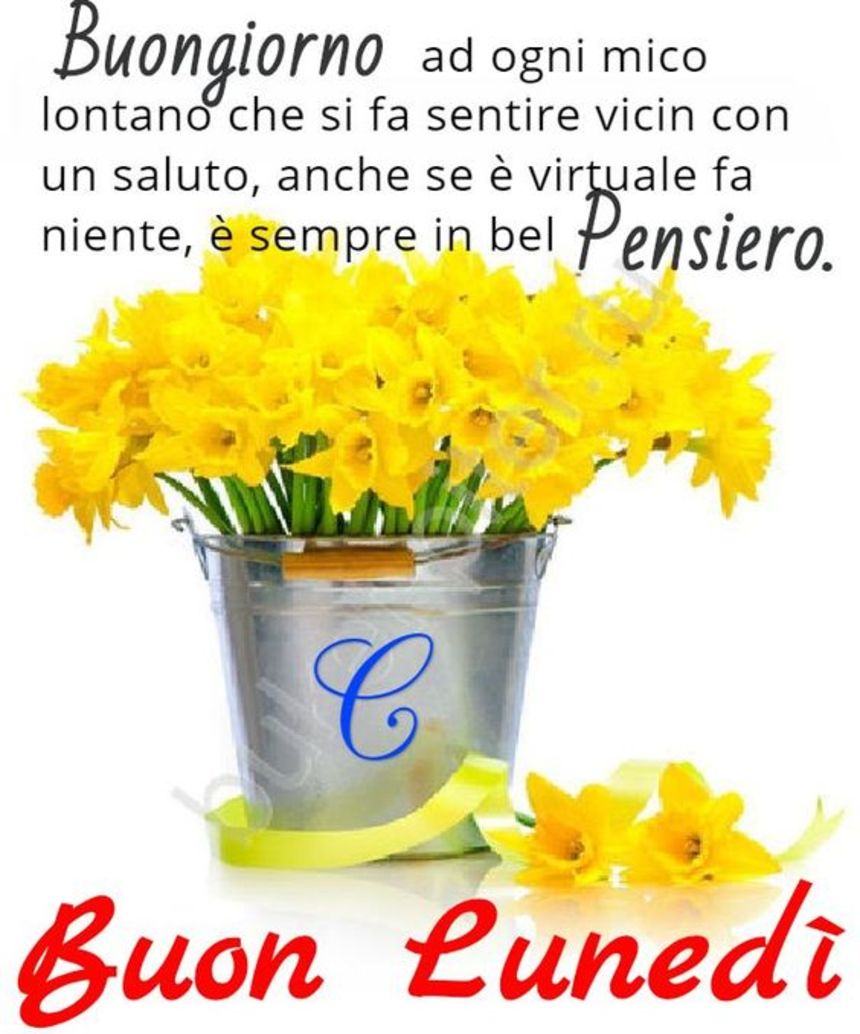 Buon Lunedì con i fiori (3)