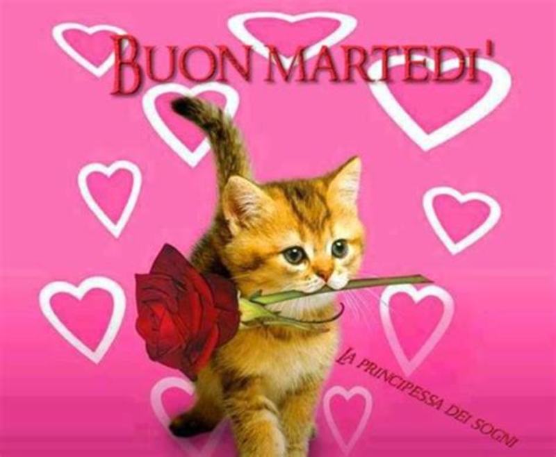 Buon Martedì amici e amiche di facebook 2573