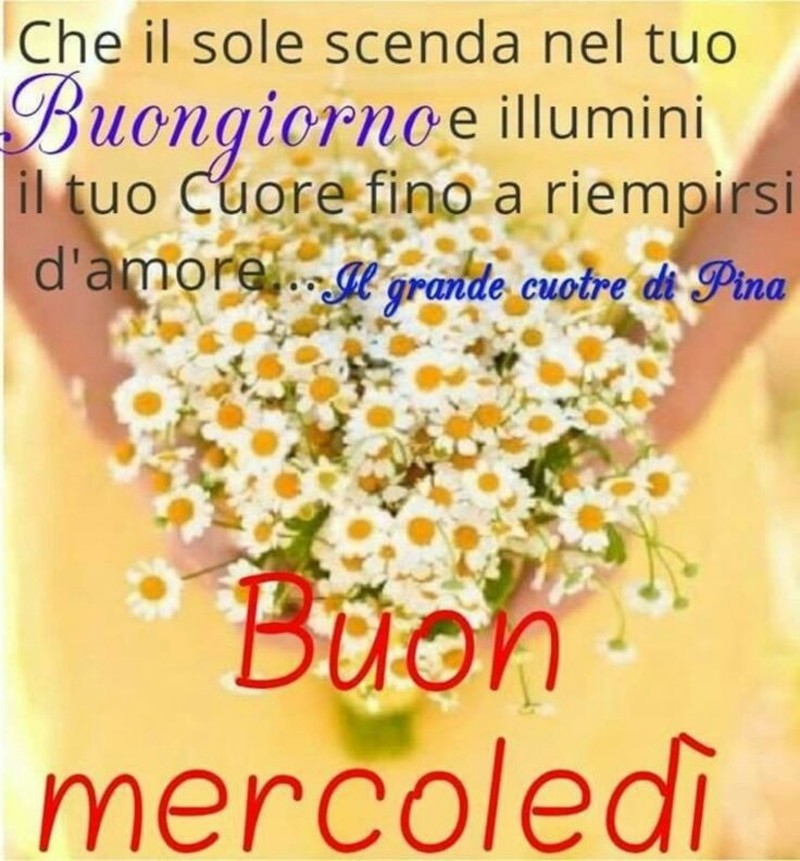 Buon Mercoledì con i fiori (1)