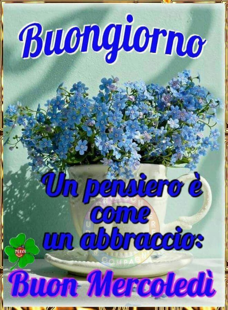 Buon Mercoledì con i fiori (7)