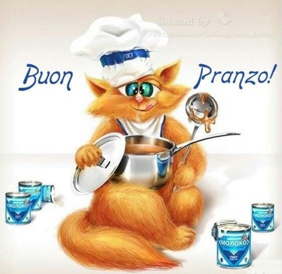 BUONGIORNO FORUM!!!!  Saluti lampo - Pagina 12 Buon-Pranzo-con-gatto-simpatico