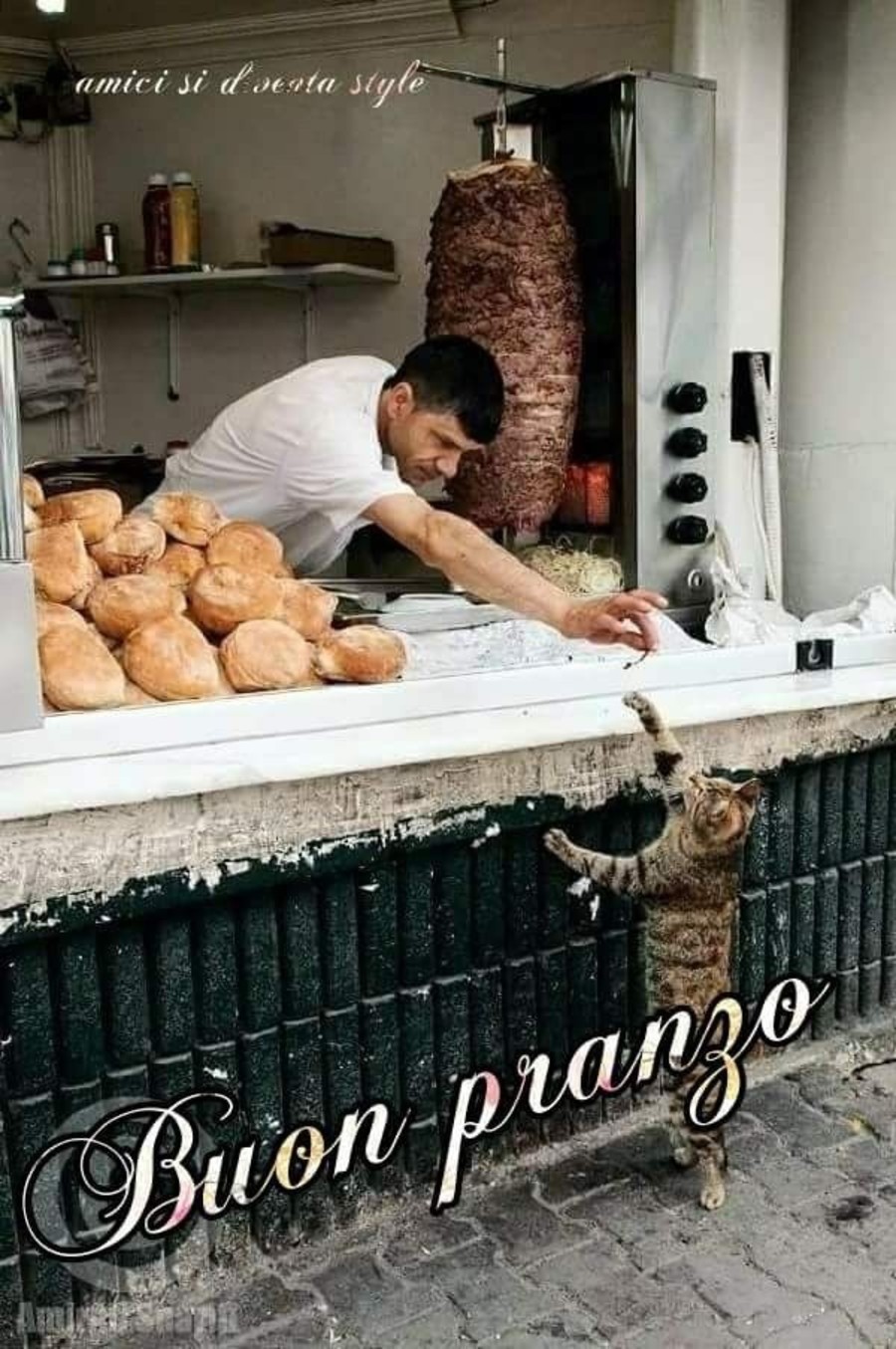 Buon Pranzo frasi 6078