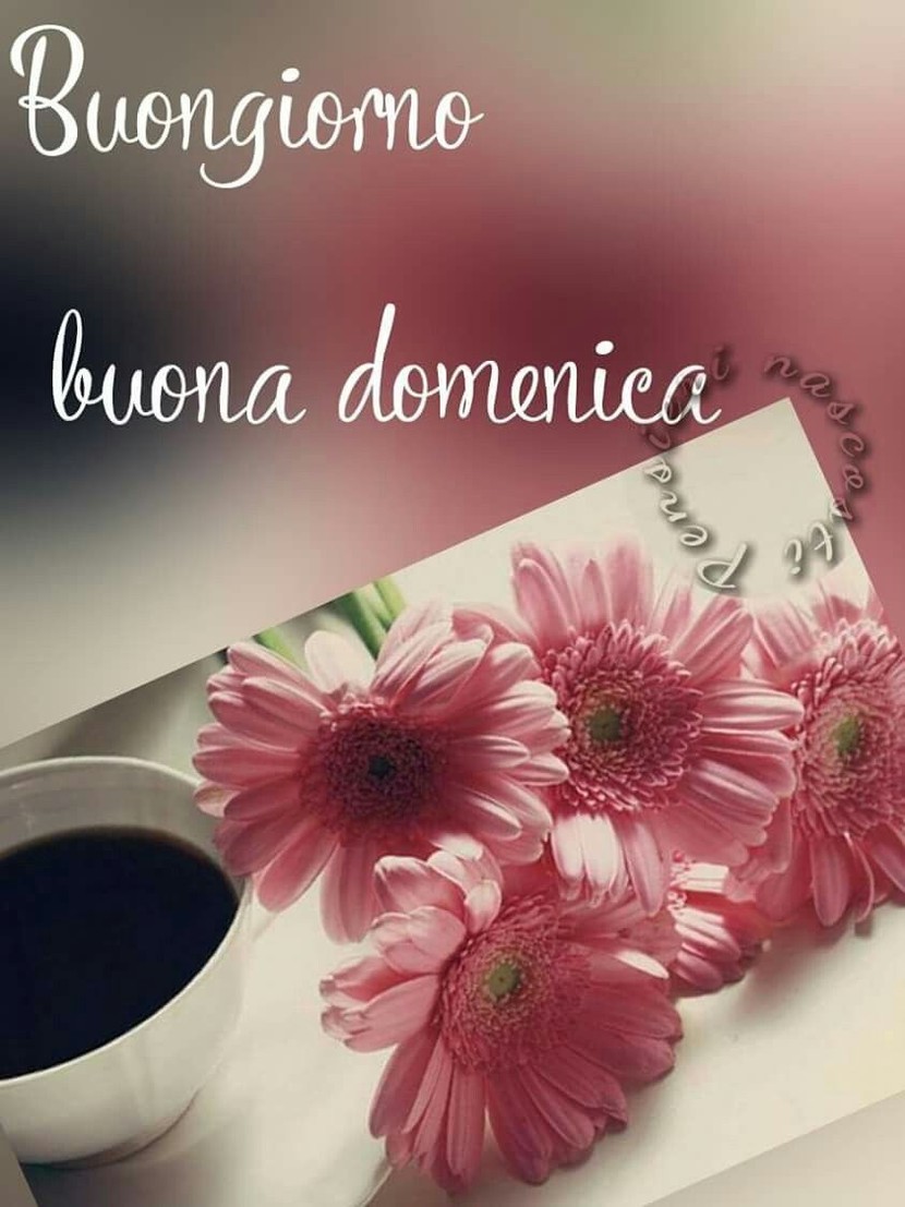 Buona Domenica 1119