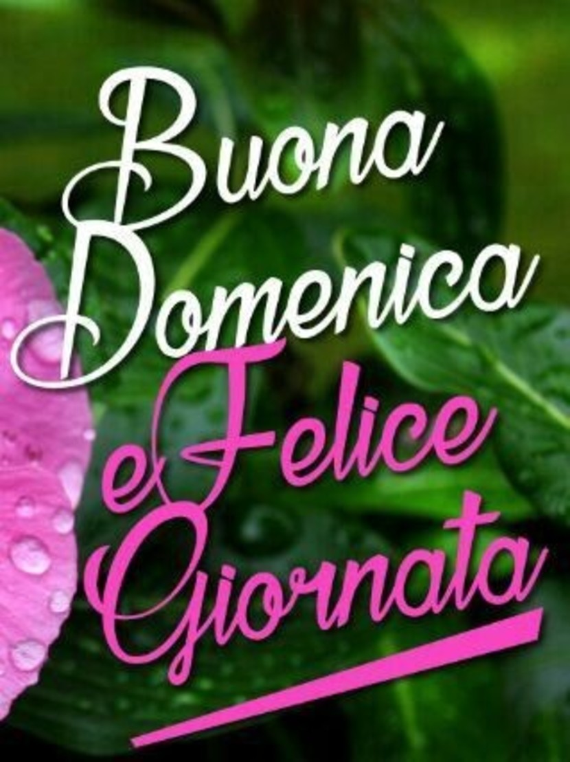 Buona Domenica 2348