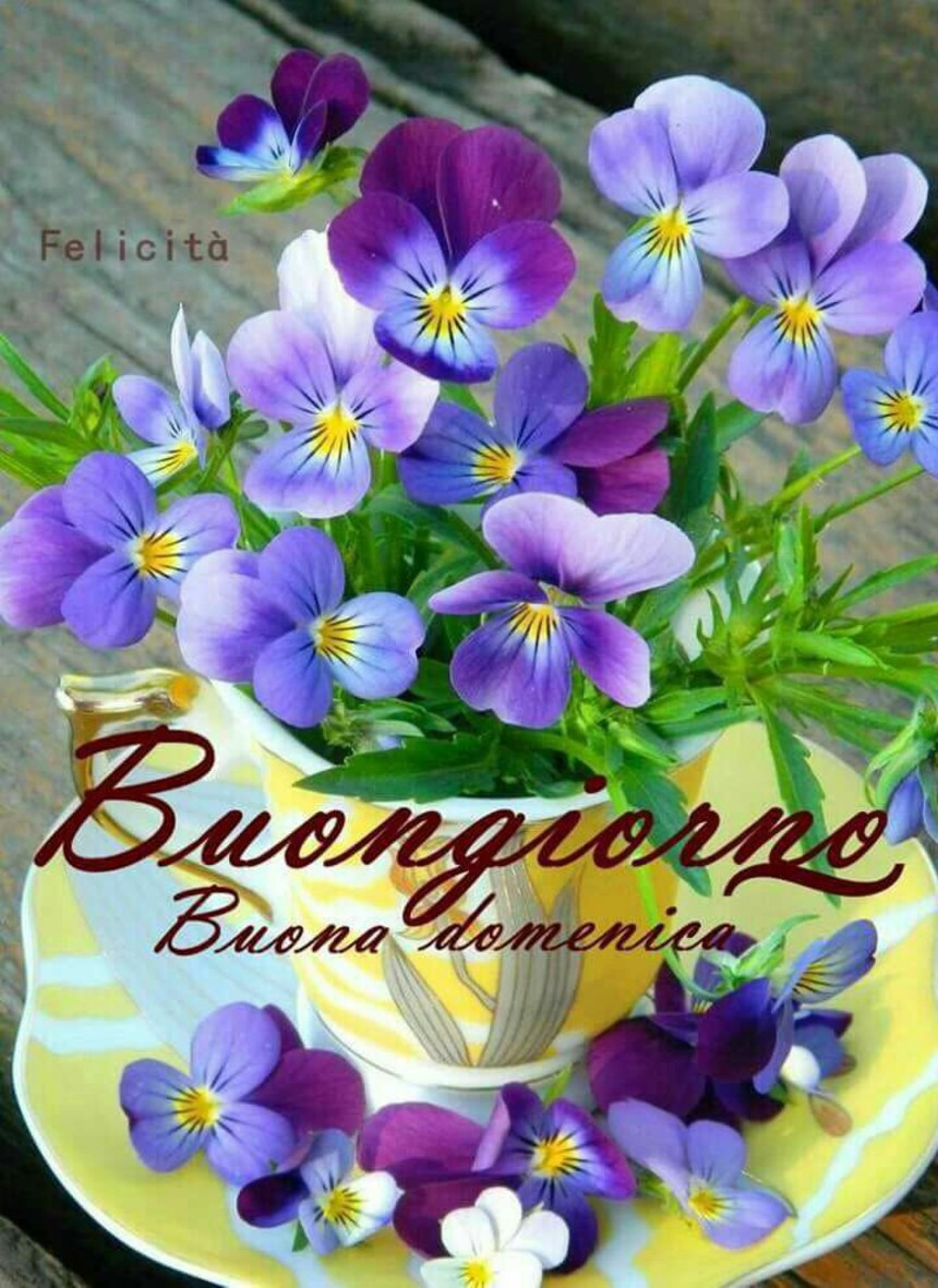 Buona Domenica Facebook WhatsApp 4411