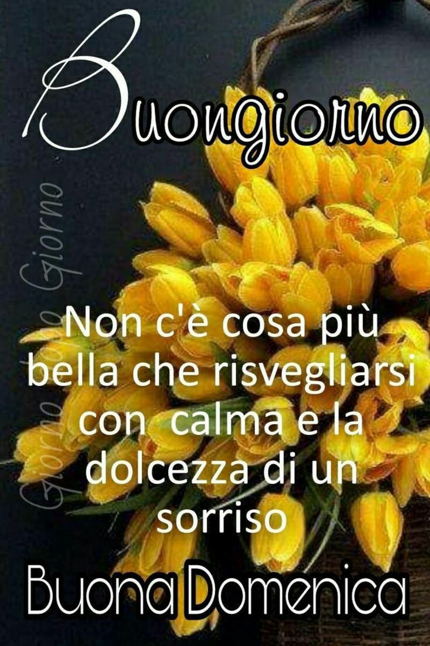 Buona Domenica a tutti i miei amici 3460