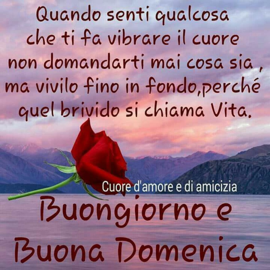 Buona Domenica citazioni