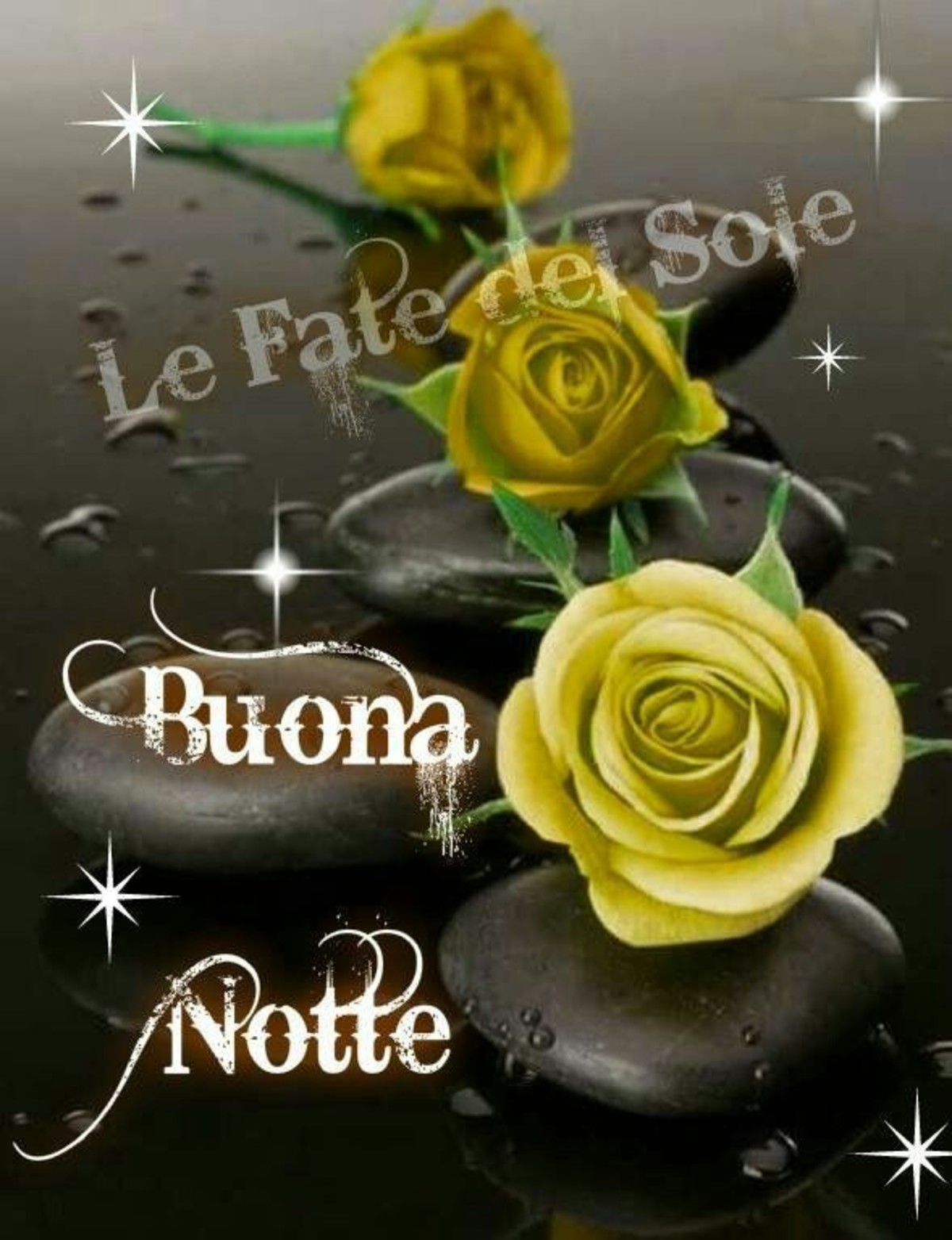 Buonanotte con le rose (2)